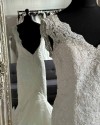 IMG 0367 v2.jpg comp