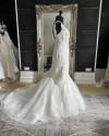 IMG 0373 v2.jpg comp