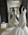 IMG 0377 v2.jpg comp
