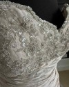 IMG 0403 v3.jpg comp