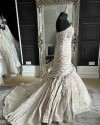 IMG 0417 v3.jpg comp