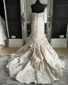 IMG 0426 v3.jpg comp
