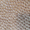CloquÃ©